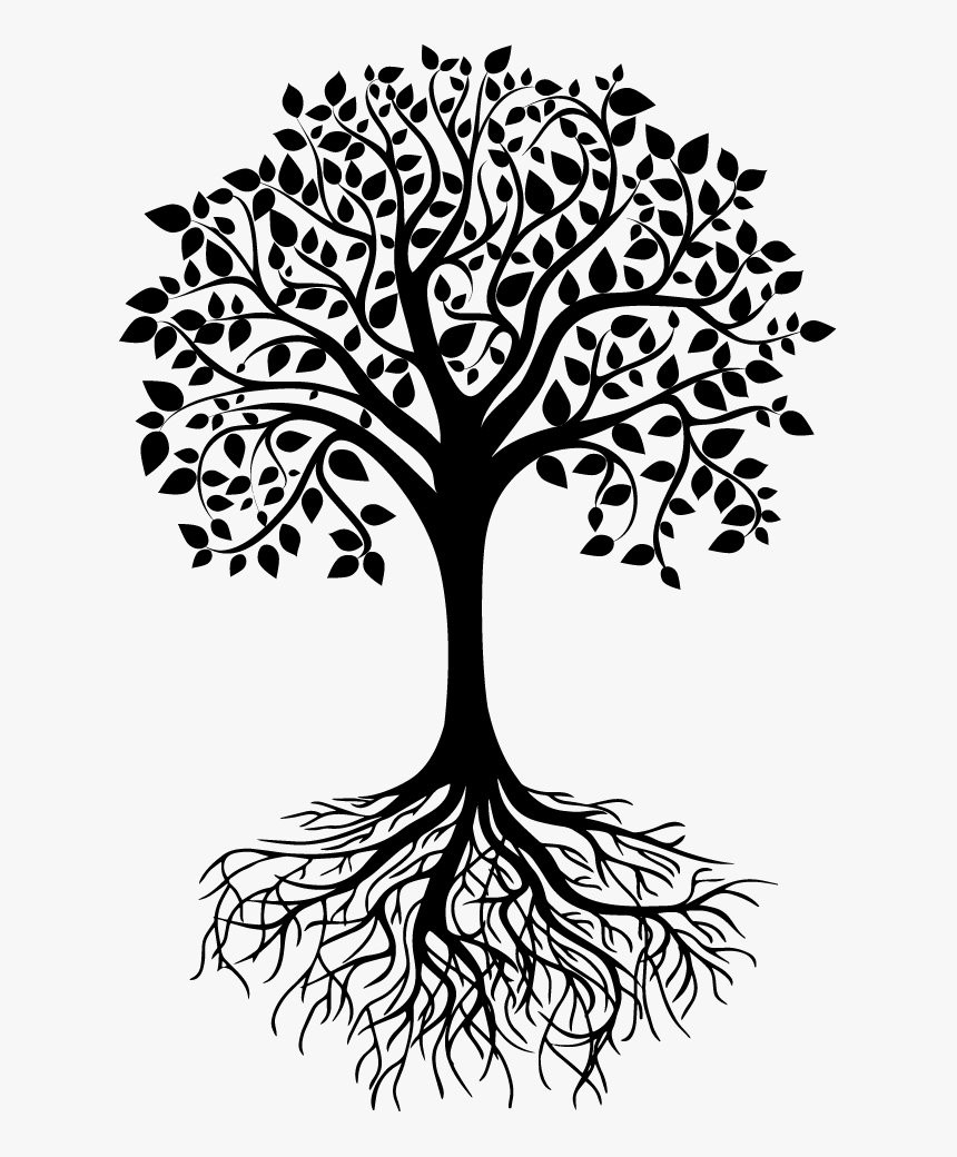 tree of life tree of life