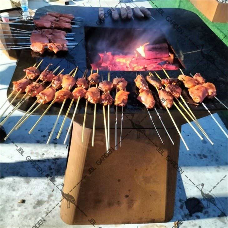Grills With Lift Tool