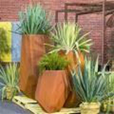 Gulzor bog'i Corten