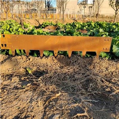 Yuqori sifatli Corten Chelik Peyzaj chegarasi